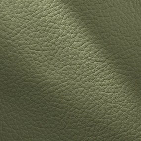 Kožené kreslo CONTINENTAL 1P, pistáciová (salvia 336)