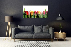 Obraz na skle Tulipány rastlina 125x50 cm