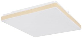 Globo 48296W - LED Stropné svietidlo RAINA LED/12W/230V