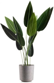 PLASTOVÝ KVETINÁČ ALOE TX 25,5X27 CM BÉŽOVÁ