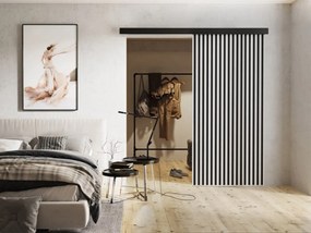 Interiérové posuvné dvere Boxdis 90, Farba:: Grafit antracit/Čierna