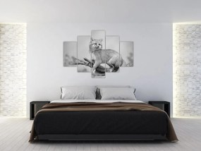 Obraz - Líška šedá (150x105 cm)