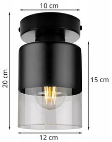 Stropné svietidlo ROMA, 1x čierne/transparentné sklenené tienidlo