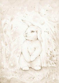 Plagát králik 50x70cm