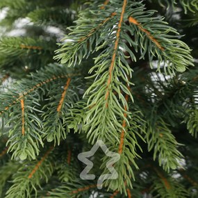 Smrek Natura 210 cm