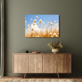 Obraz - Zlaté pole (90x60 cm)