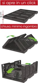 BAMA Box OPLA, čierny