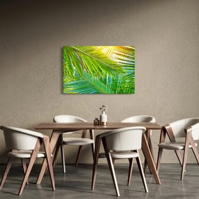 Obraz - Palmové listy (90x60 cm)
