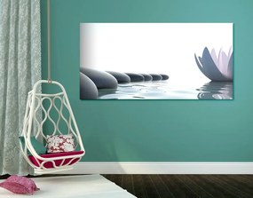 Obraz lotosový kvet a Zen kamene - 100x50