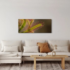 Obraz rastliny (120x50 cm)