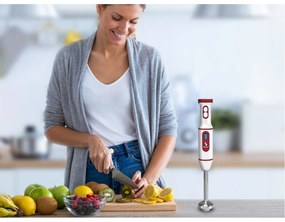 Beper P102FRU300 USB nabíjací tyčový mixér
