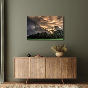 Obraz mračien a lesa (90x60 cm)