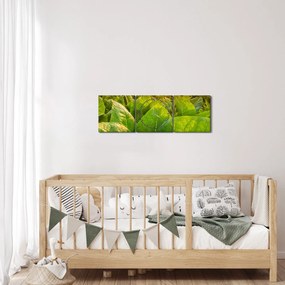 Obraz - Pole (s hodinami) (90x30 cm)