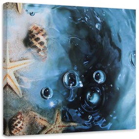Gario Obraz na plátne Mušle v modrej vode Rozmery: 30 x 30 cm