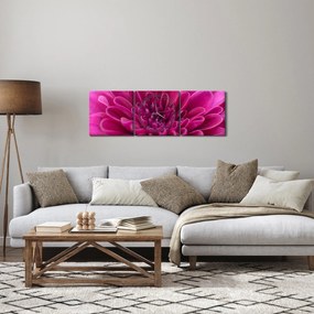 Obraz kvetu (s hodinami) (90x30 cm)