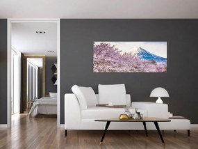 Obraz - Japonsko na jar (120x50 cm)