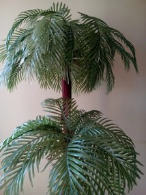 Dvojpalma- palma areca (s kôrou) 160 cm