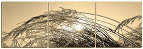 Obraz na plátne - Zimné ráno - panoráma 545FB (150x50 cm)