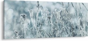 Obraz - Kúzlo zimy (120x50 cm)