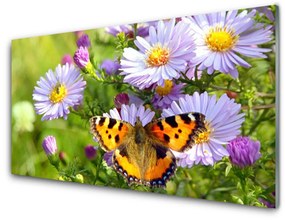 Obraz na skle Kvety motýľ príroda 100x50 cm