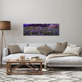 Obraz - Sopka a kvety (s hodinami) (90x30 cm)