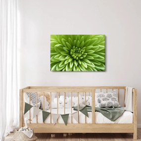 Obraz - Makro snímka rastliny (90x60 cm)