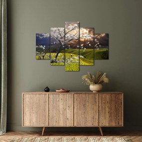 Obraz - Rozkvitnutý strom v krajine (150x105 cm)