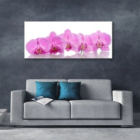 Obraz plexi Ružová orchidea kvety 125x50 cm