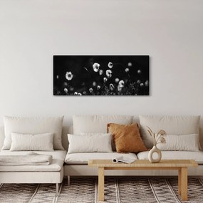 Obraz - Lúka s cottongrass N⁰1 (120x50 cm)