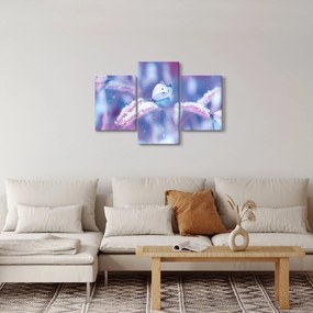 Obraz - Motýle v zime (90x60 cm)