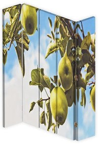 Gario Paraván Jablká na konári Rozmery: 180 x 170 cm, Prevedenie: Otočný paraván 360°