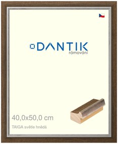 DANTIK rám na obraz 40x50 | TAIGA sv.hnědá (Sklo Čiré)