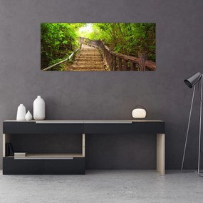 Obraz - Schody v prírode (120x50 cm)