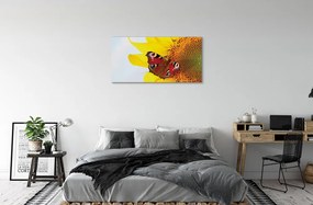 Obraz na plátne slnečnica motýľ 100x50 cm