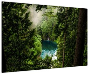 Obraz - Priezor medzi stromami (90x60 cm)