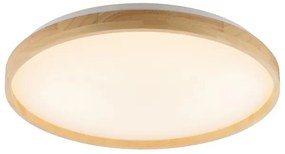 Brilliant - LED stmievateľné stropné svietidlo ALSON LED/21W/230V béžové + DO