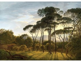 Fototapeta XXL Old Forest 360 x 254 cm, 4 diely