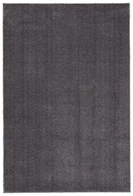 Koberec Sointu: Tmavo sivá 200x300 cm