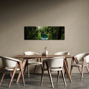 Obraz - Priezor medzi stromami (s hodinami) (90x30 cm)