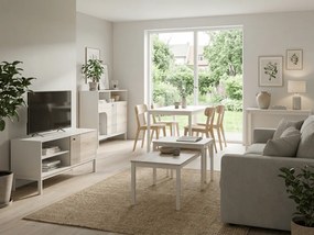 TV stolík FROST 120x40 cm biely, dekor dub alpský