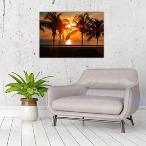 Obraz palmy v západe slnka (70x50 cm)