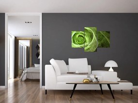Obraz - Abstraktné ruže zelená (90x60 cm)
