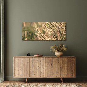 Obraz - Obilie (120x50 cm)