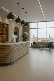 Beaulieu International Group, PVC podlaha - lino Master X 2979, na mieru, šíře 2m,4m, šedá, pvc, chodba / predsieň