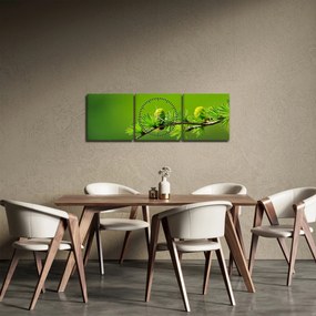 Obraz zelenej šišky (s hodinami) (90x30 cm)
