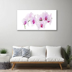 Obraz Canvas Kvety rastlina príroda 120x60 cm