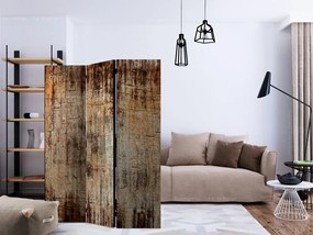 Artgeist Paraván - Tree Bark [Room Dividers]