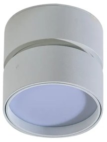 LED bodové svetlo Mona 12W 4000K biele