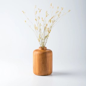Trovelumi