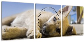 Obraz ležiaceho šteňaťa (s hodinami) (90x30 cm)